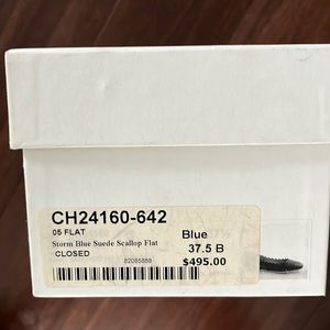 Chloe Scallop Suede Ballet flats